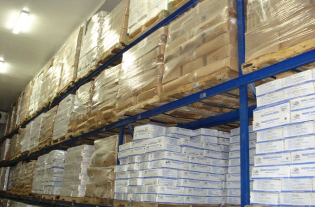 Anaqueles del frigorífico con tarimas y cajas de producto almacenado