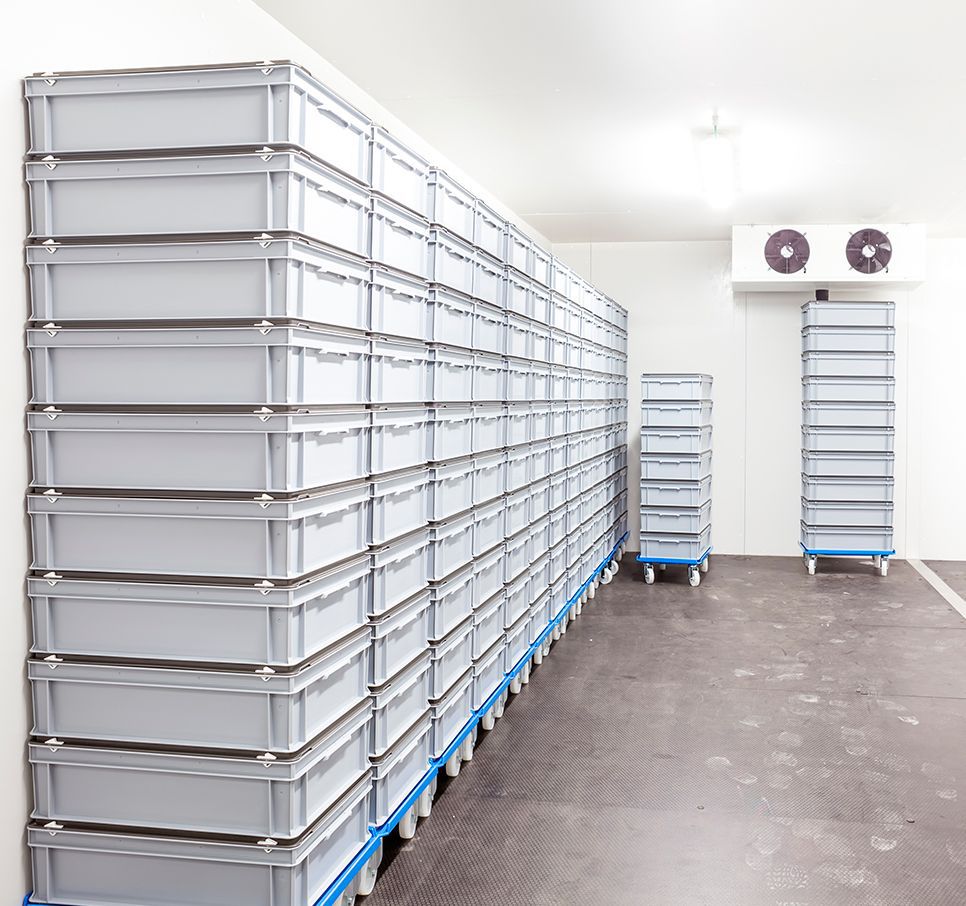 Interior de una cámara frigorífica con contenedores apilados y equipo de refrigeración