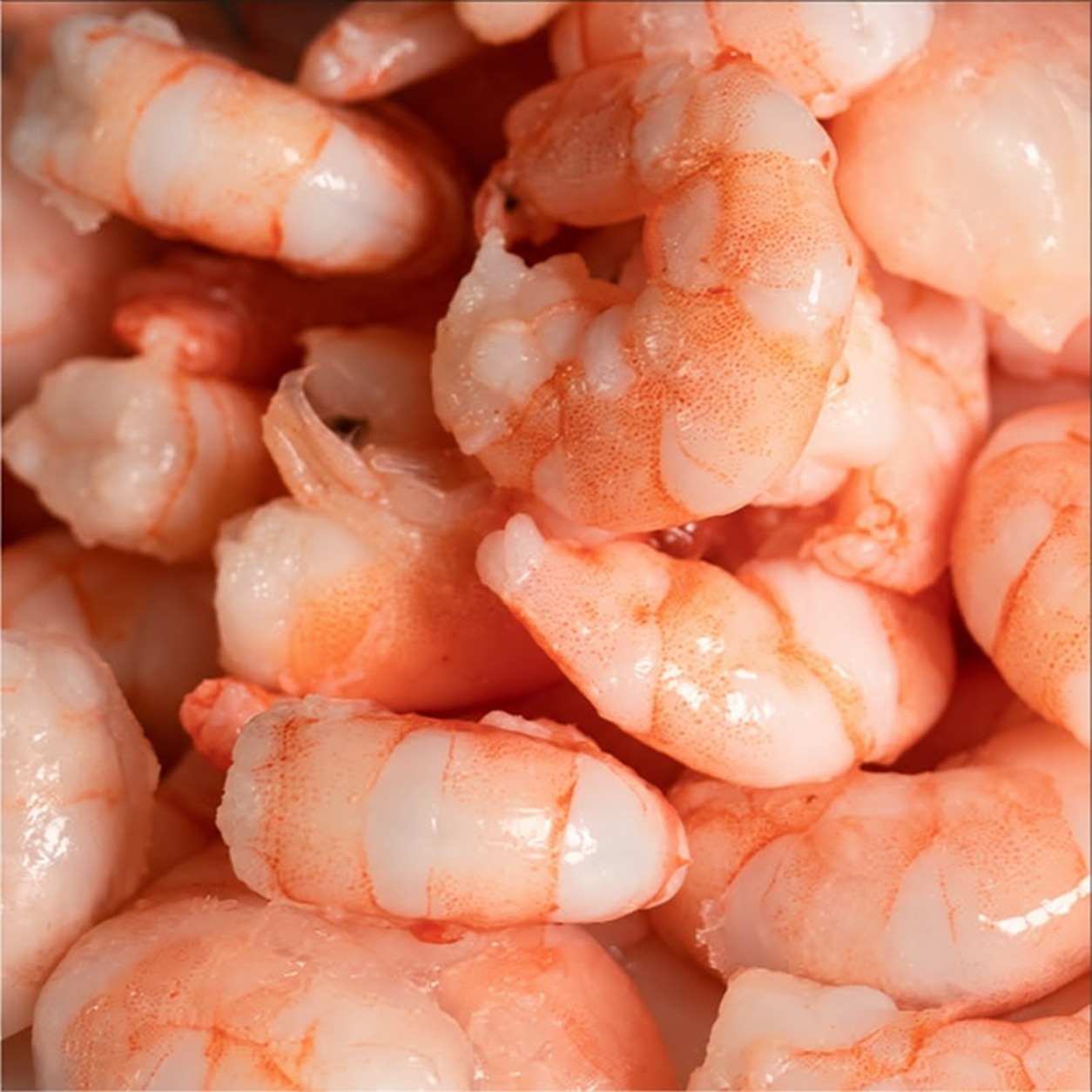 Camarones cocidos y pelados